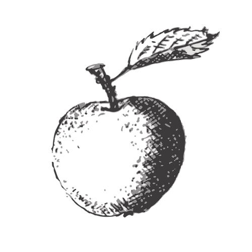 handrawing of an apple