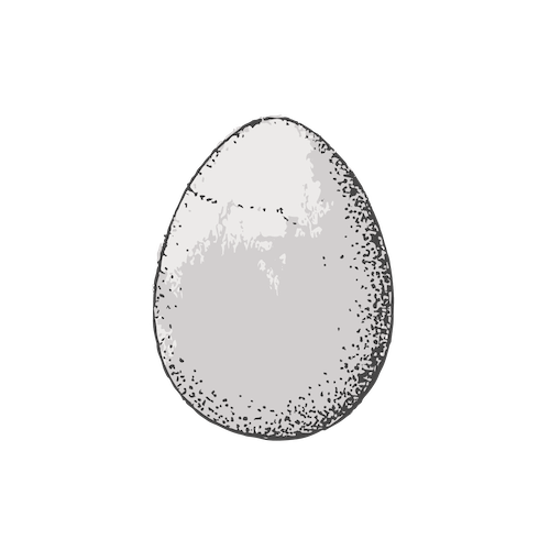 handrawing of an egg