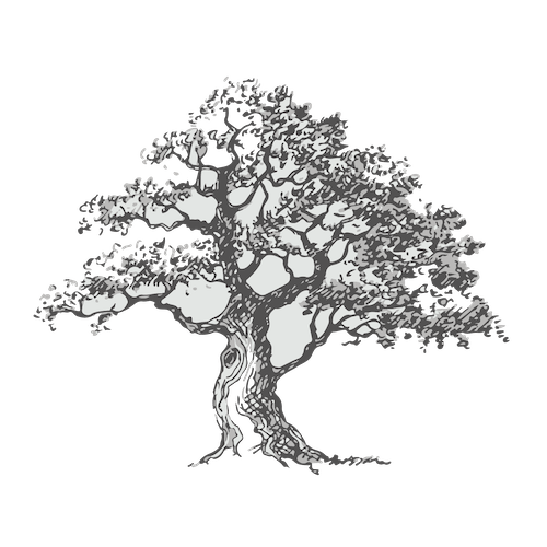 handrawing of a tree